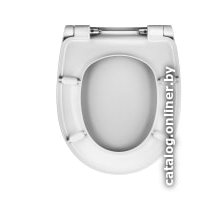 Сиденье для унитаза Berges Wasserhaus Real SO 011503 (с микролифтом)