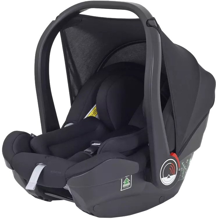 

Детское автокресло Rant Carry Active Line AY328 Pro (черный)