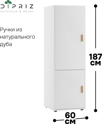 Шкаф распашной Диприз Моби 2 дв. Д.70066.1 (белый)