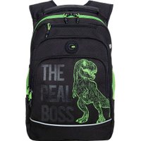Школьный рюкзак Grizzly RB-450-3f (черный/салатовый)