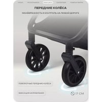 Универсальная коляска Rant Basic Ventura RA165 (black)