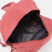 Детский рюкзак Ecotope С пеналом и сумочкой 287-2005-DPK (розовый)