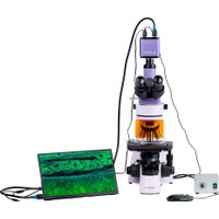 Микроскоп Magus Lum D400L LCD 83019