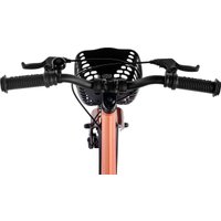 Детский велосипед Maxiscoo Jazz Pro 16 2025 MSC-J1641P (пудра)