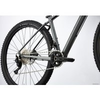 Велосипед Cannondale Trail 4 29 XXL 2020 (серый)