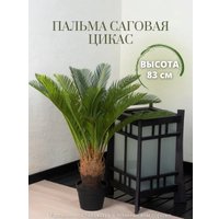 Искусственное растение Merry Bear Home Decor Пальма Саговая Цикас AR22083