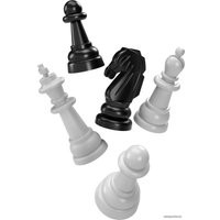 Шахматы/шашки Десятое королевство 03885 (серый) в Мозыре