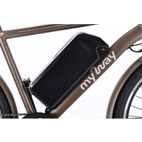 Электровелосипед MyWay Let 1.0 250 26 Pro (титан матовый)