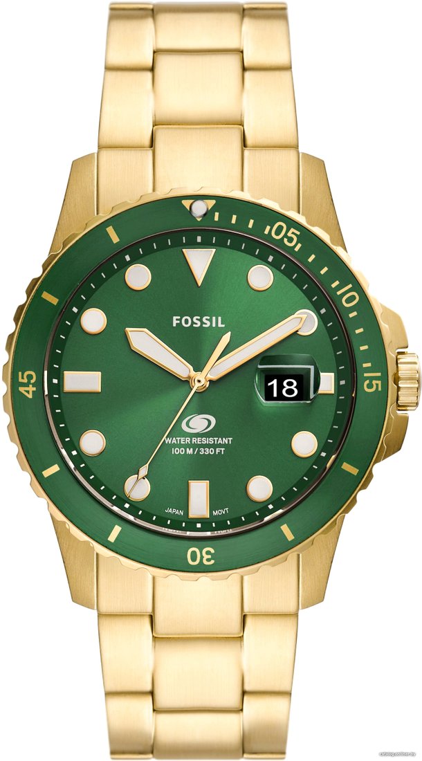 Наручные часы Fossil Blue FS5950
