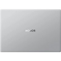 Ноутбук HONOR MagicBook X14 2024 FRI-H56 5301AJWP