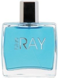 

Туалетная вода Dilis Parfum Blue Ray EdT 100 мл