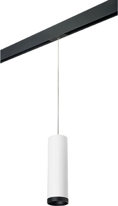

Трековый светильник Lightstar Rullo PRORP64963487