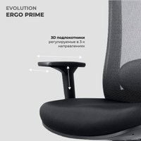 Офисное кресло Evolution ERGO Prime Black (черный)