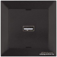 Розетка USB Mutlusan Daria 2120 448 0184 в Бресте