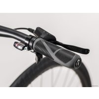 Велосипед Trek FX 2 Disc Women's Stagger L 2020 (серебристый)