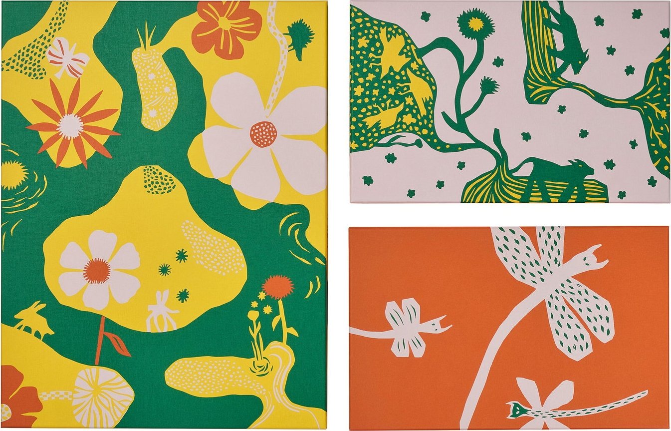 

Постер Ikea Coloradogran 90570656