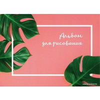 Альбом для рисования Эксмо. Ботаника 9785040955237 (40 л) в Орше