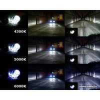 Ксеноновая лампа Blue Light D4S 5000K 2шт