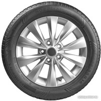 Летние шины Ikon Tyres Nordman SX3 195/55R16 91H в Солигорске