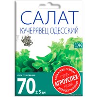 Семена Агроуспех Салат Кучерявец Одесский п/коч поздний 0.5 г