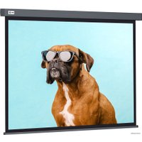 Проекционный экран CACTUS Wallscreen 149x265 CS-PSW-149X265-SG