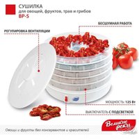 Сушилка для овощей и фруктов Великие Реки ВР-5 (прозрачный/белый)