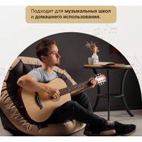 Акустическая гитара ROKSO FT-R38B-N