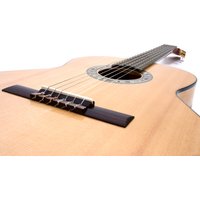 Акустическая гитара Kremona R65S