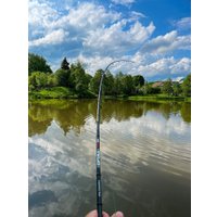 Удилище Волжанка Optima Evo Pro 14ft тест 120+гр 041-0120 (4.2м)