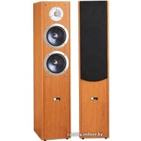 Напольная акустика Pure Acoustics XTI 50F