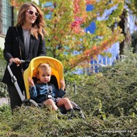 Универсальная коляска Bugaboo Bee 3