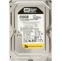 Жесткий диск WD RE4 250GB (WD2503ABYX)