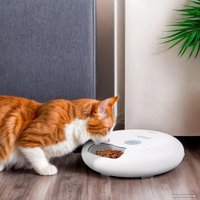 Кормушка электронная Kitfort КТ-2079