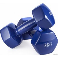 Гантель VictoryFit VF-DV080 8 кг