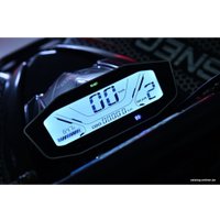 Квадроцикл White Siberia Sneg Pro R 3000W