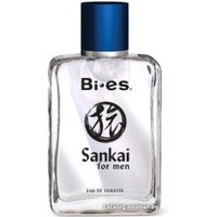 Туалетная вода BI-ES Bi-es Sankai EdT (100 мл) в Витебске