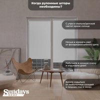 Рулонные шторы Sundays Home LM 167-01 78х215 (белый)