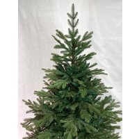 Ель GreenTerra Милтон 1.2 м