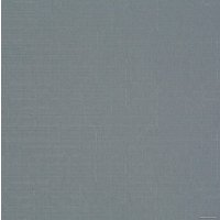 Рулонные шторы Lm Decor Лайт LM 30-11С 43x160