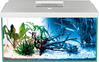 AquaEl Leddy Day&Night 60 (белый)