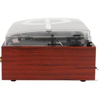 Виниловый проигрыватель Alive Audio Quattro Wood