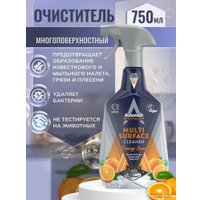 Средство универсальное Astonish Апельсиновая роща 750 мл