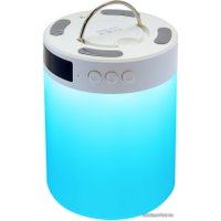 Беспроводная колонка Ginzzu GM-893W