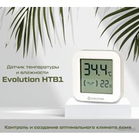 Термогигрометр Evolution HTB1