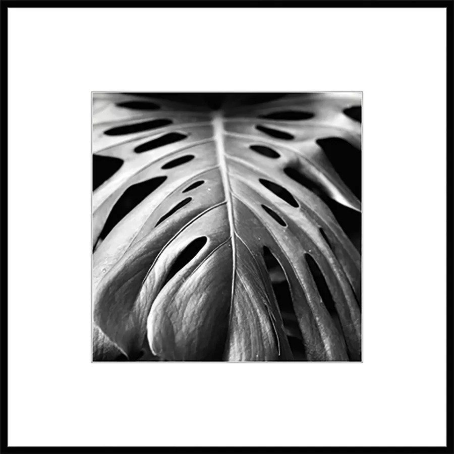 

Картина Stamprint Листья 2 BW008 (50x50)