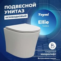 Унитаз подвесной Teymi Ellie T40802