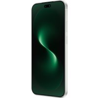 Телефон Huawei nova 15 Pro KLE-LX9 Dual SIM 12GB/512GB (мятный, международная версия)