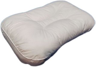 

Спальная подушка Familytex ПСС7 С сеточкой (45x65)
