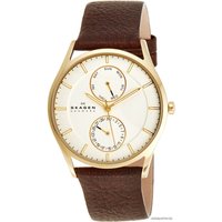 Наручные часы Skagen SKW6066