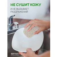 Средство для мытья посуды Septivit Альпийская Мята (5 л)